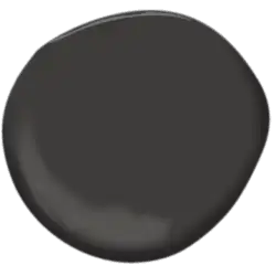 bm Black Beauty