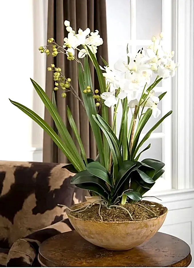 Orchid Planter