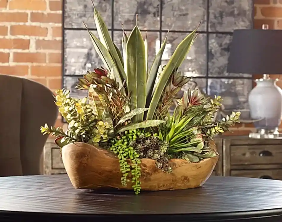 Succulents In Bowl