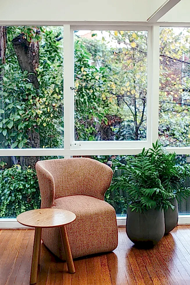 Best Oxygen indoor plants