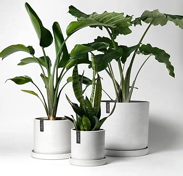 Natural Stone Pots
