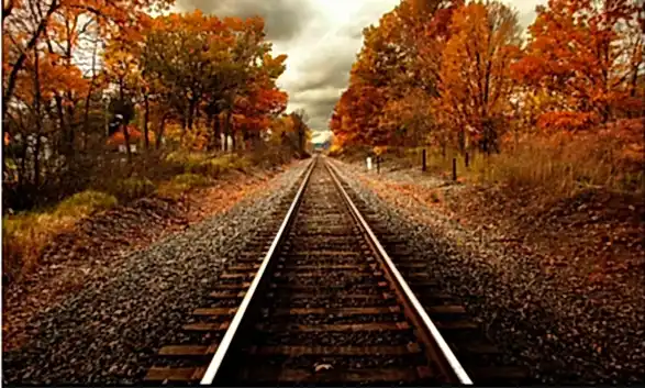 Autumn Wall Art