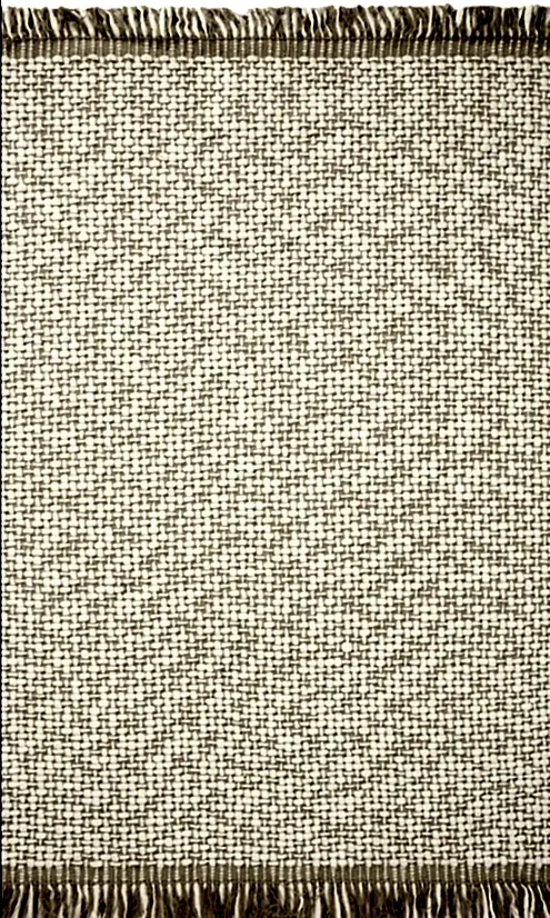 Wool and Jute Rug