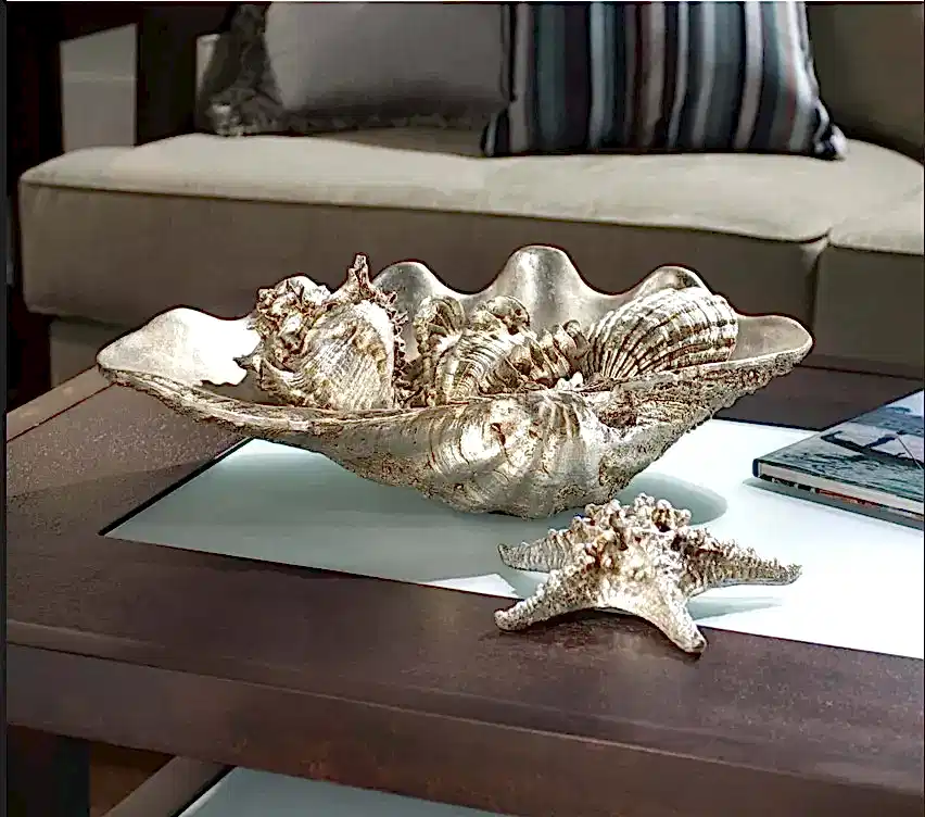 Clam shell bowl 