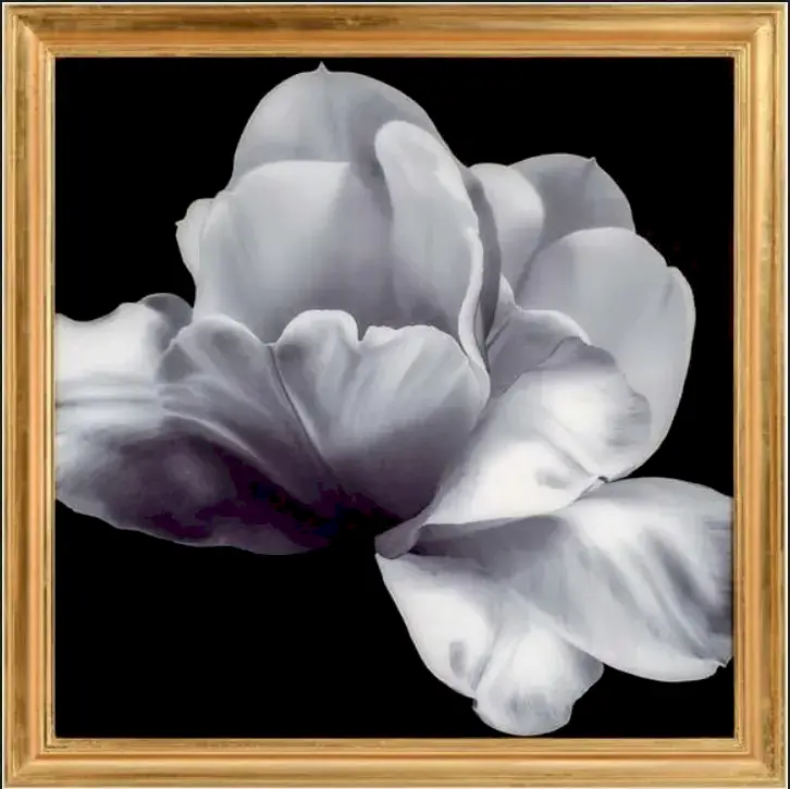 Classic Flower Painting