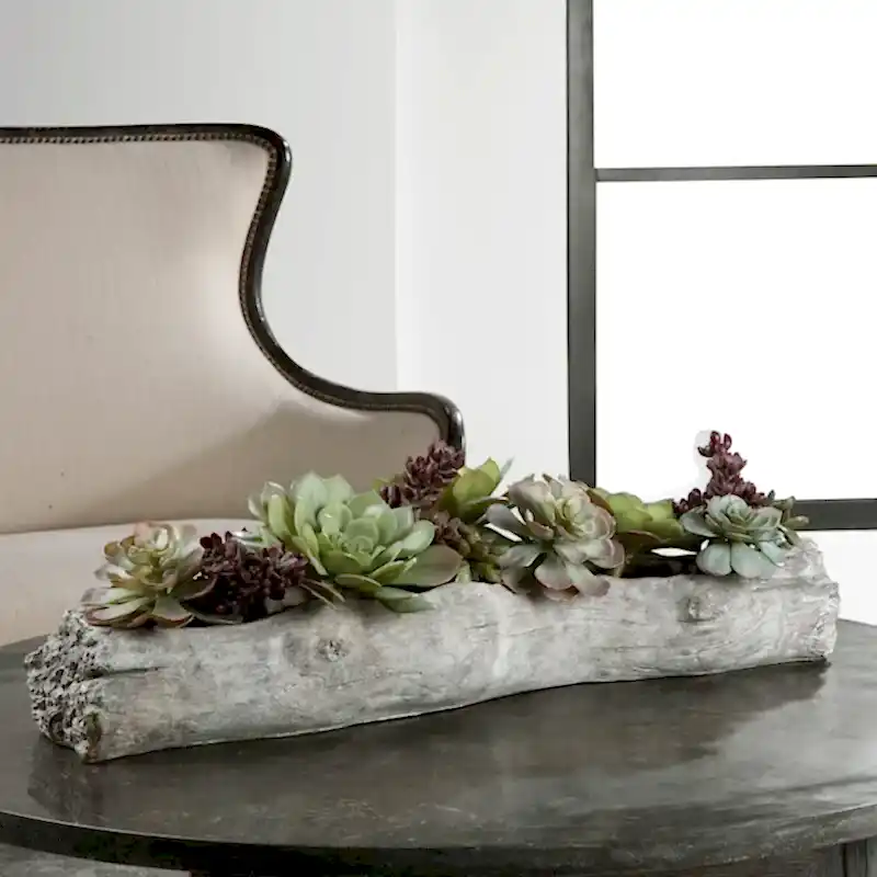 Succulent Centerpiece