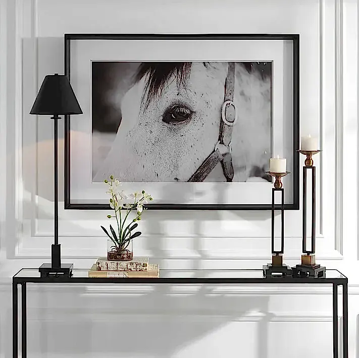 Horse Framed Print
