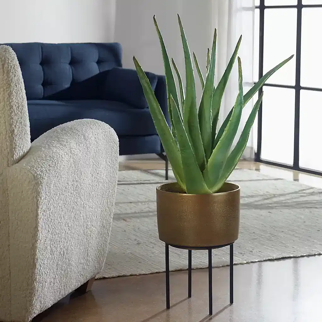 Aloe Planter